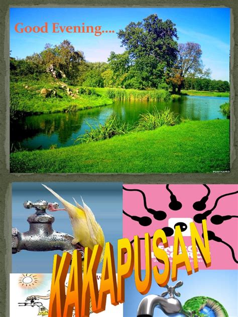 poster kakapusan